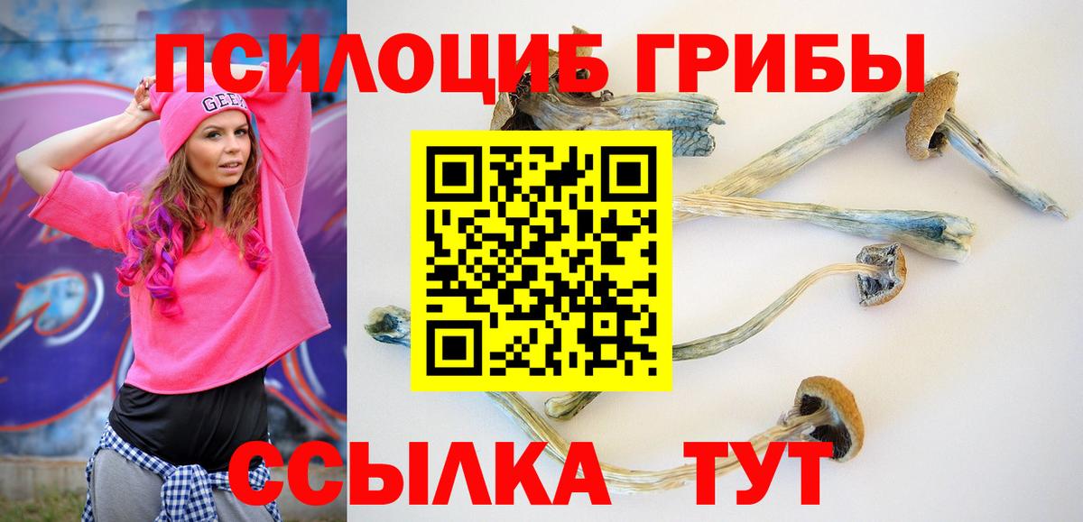 купить   Вход с VPN  Владивосток  Псилоцибиновые грибы прущие грибы 